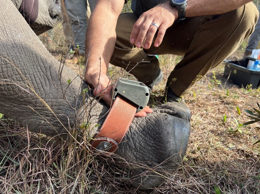NEW TECHNOLOGY INCREASES PROTECTION AT CARE FOR WILD