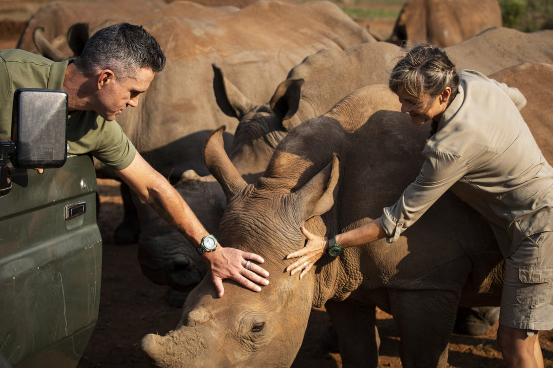 Care for Wild