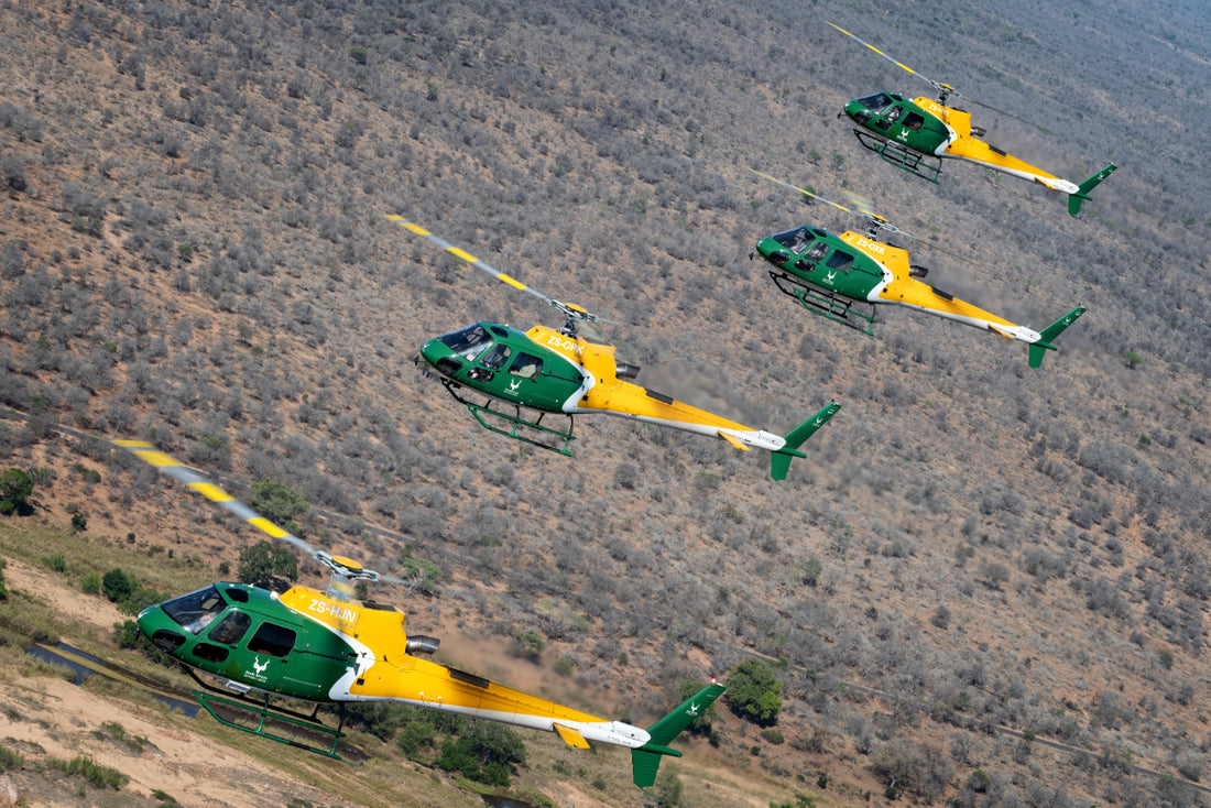 Kruger National Park – Air Services